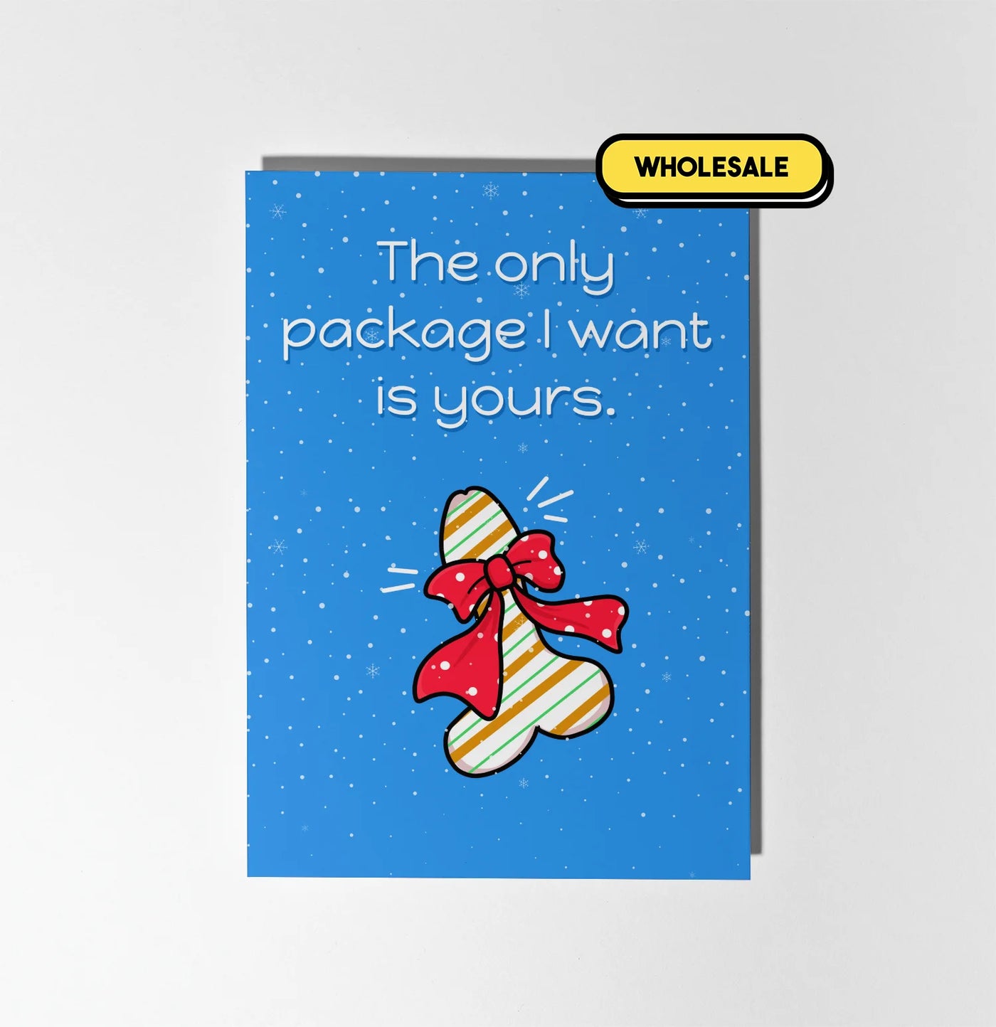 The Only Package I Want Is Yours Christmas Greeting Card Wholesale