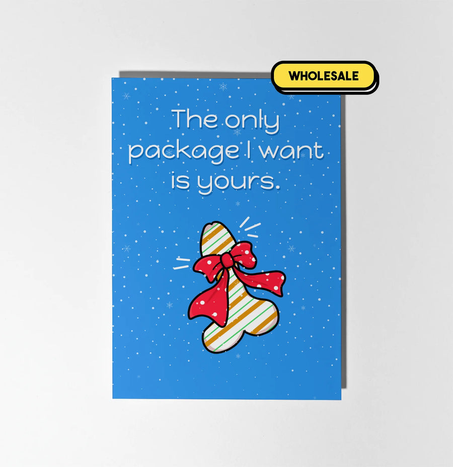 The Only Package I Want Is Yours Christmas Greeting Card Wholesale
