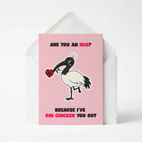 I've Bin Chicken You Out