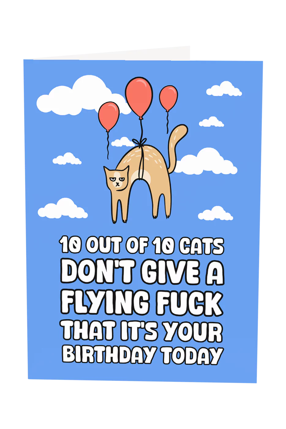 Cats Don't Give A F About Your Birthday