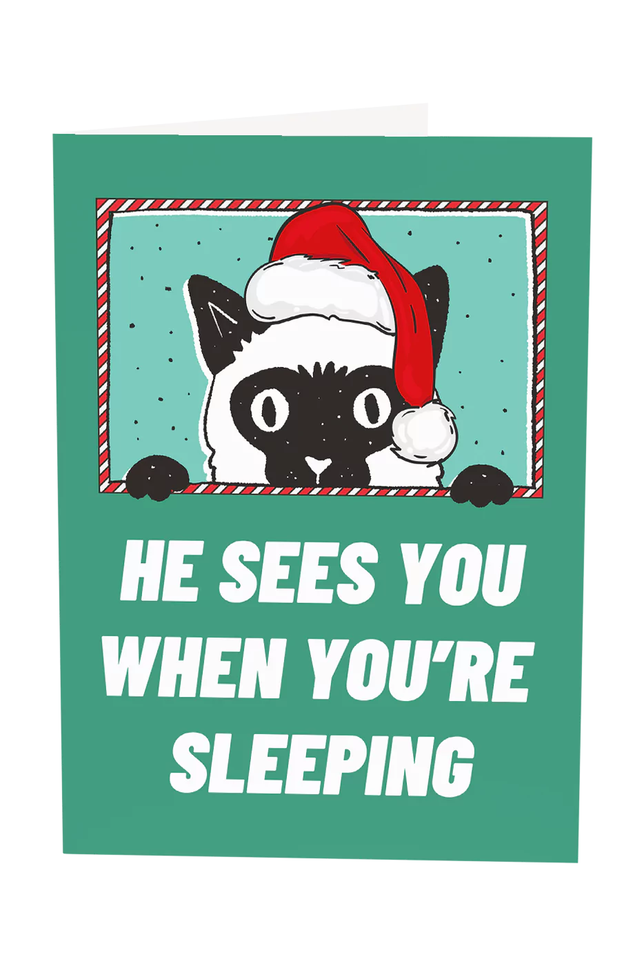 He Sees You When You're Sleeping Cat Christmas Greeting Card