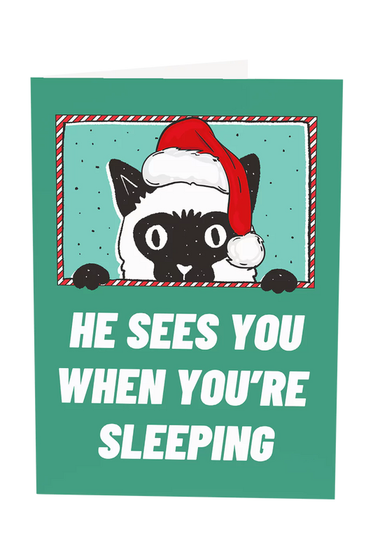 He Sees You When You're Sleeping Cat Christmas Greeting Card