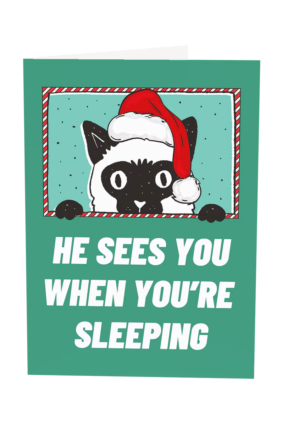 He Sees You When You're Sleeping Cat Christmas Greeting Card