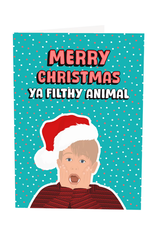 Merry Christmas Ya Filthy Animal Home Alone Greeting Card