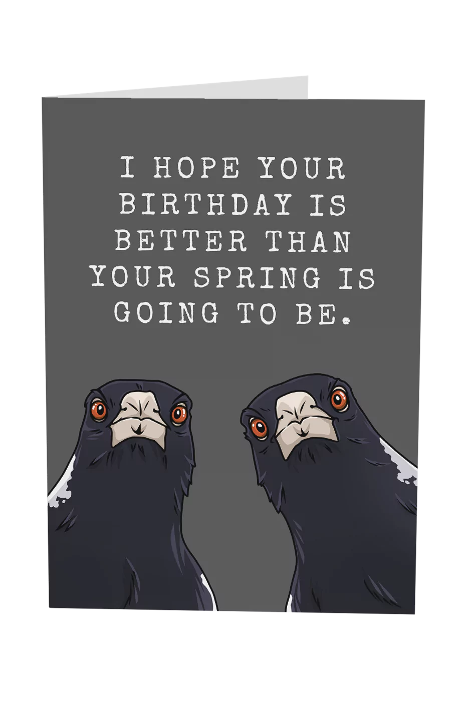 I Hope Your Birthday Is Better Than Your Spring