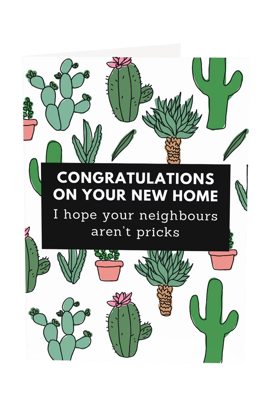 I Hope Your Neighbours Aren't Pricks Greeting Card Wholesale