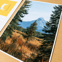 300gsm Inkjet Double Sided Matte Cardstock Paper A4 (5 Sheets) - Greeting Card & Poster Paper
