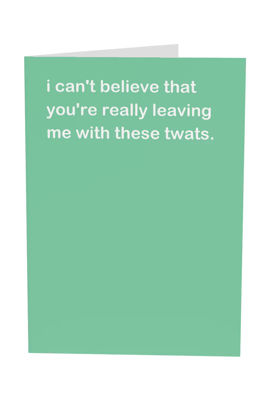 I Can't Believe You're Leaving Me With These Twats Greeting Card Wholesale