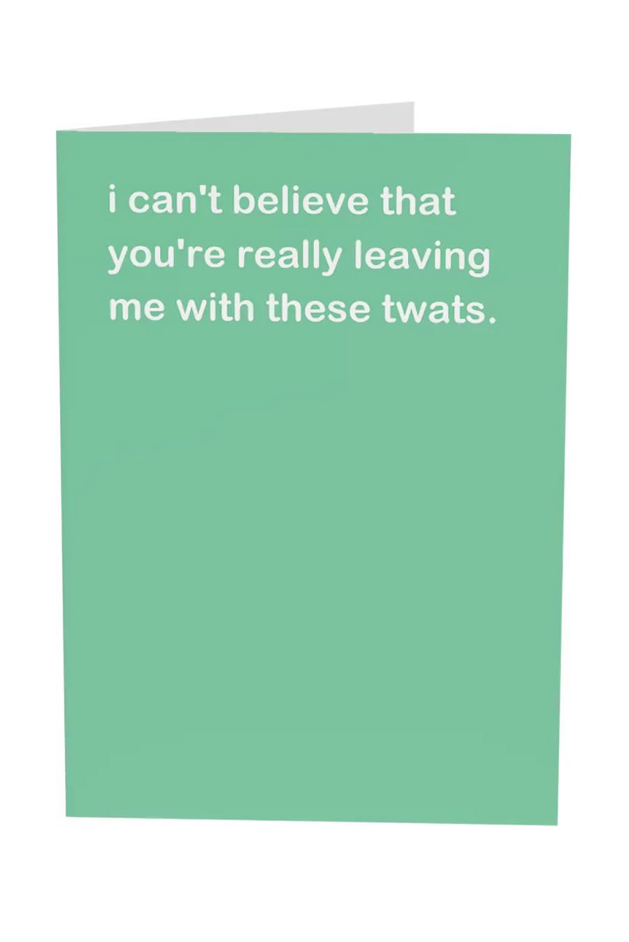 I Can't Believe You're Leaving Me With These Twats Greeting Card Wholesale